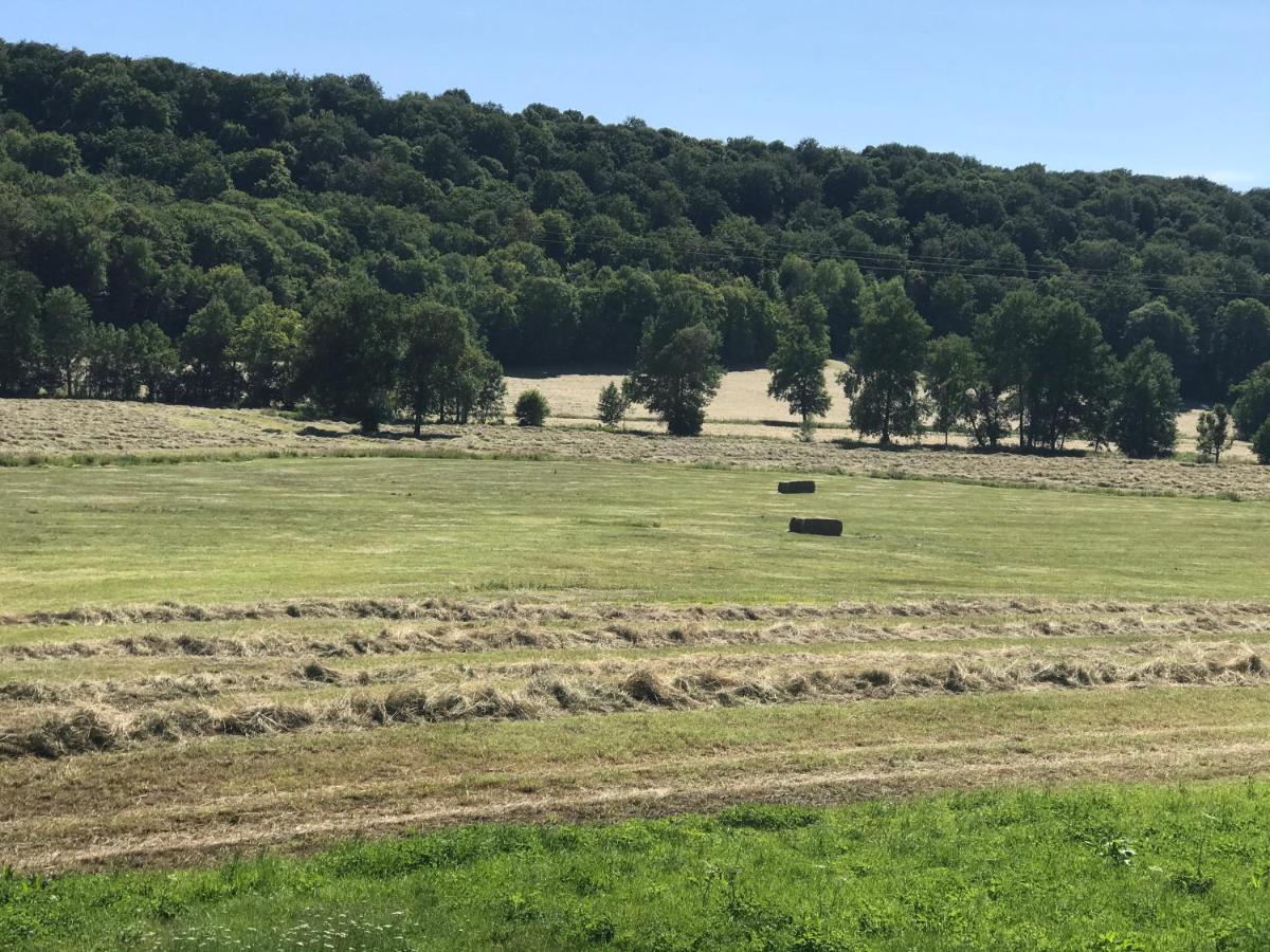 Gîte 6 pers de la Vallée de l'Aujon Arc-en-Barrois Extérieur photo