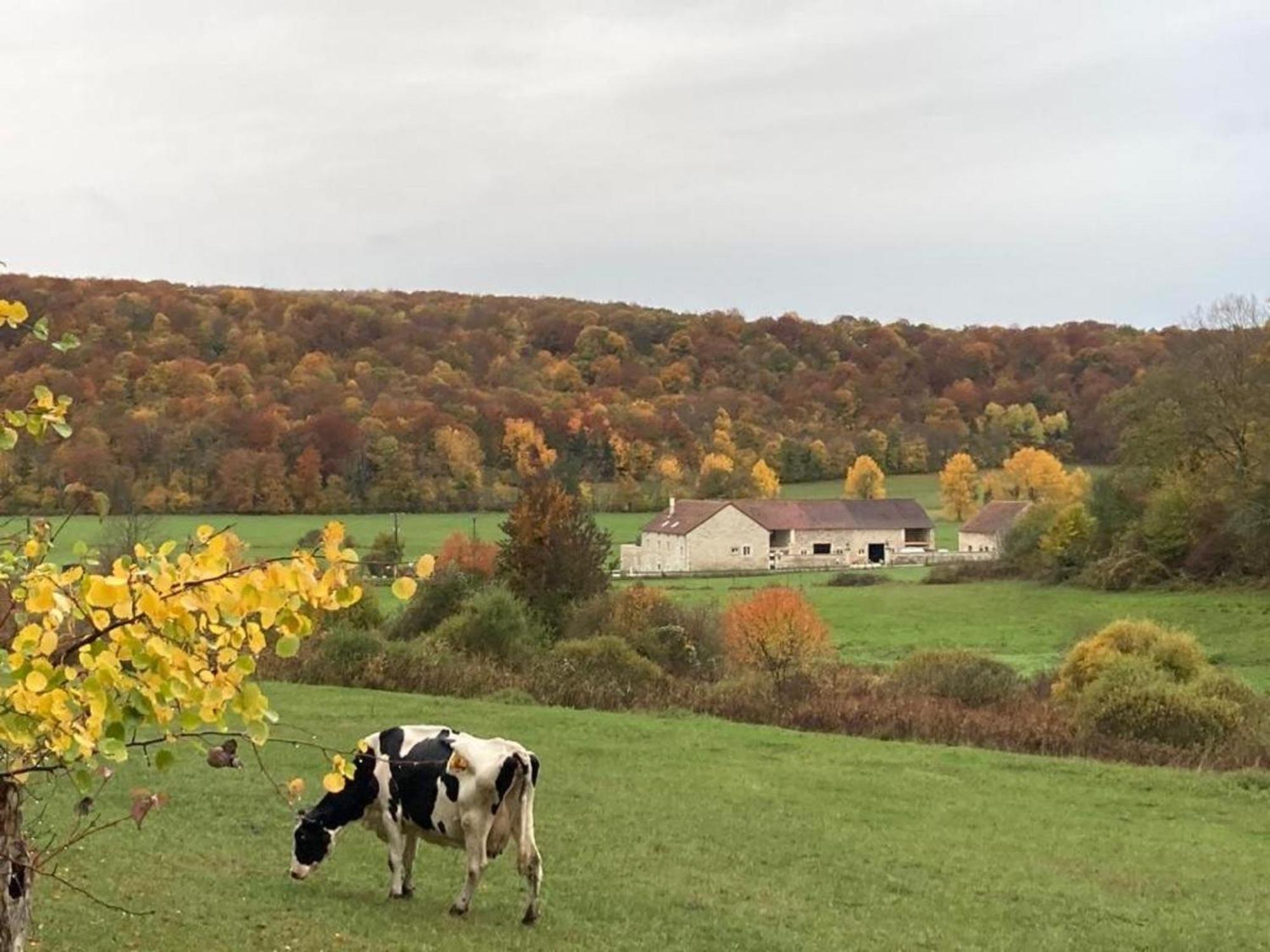 Gîte 6 pers de la Vallée de l'Aujon Arc-en-Barrois Extérieur photo
