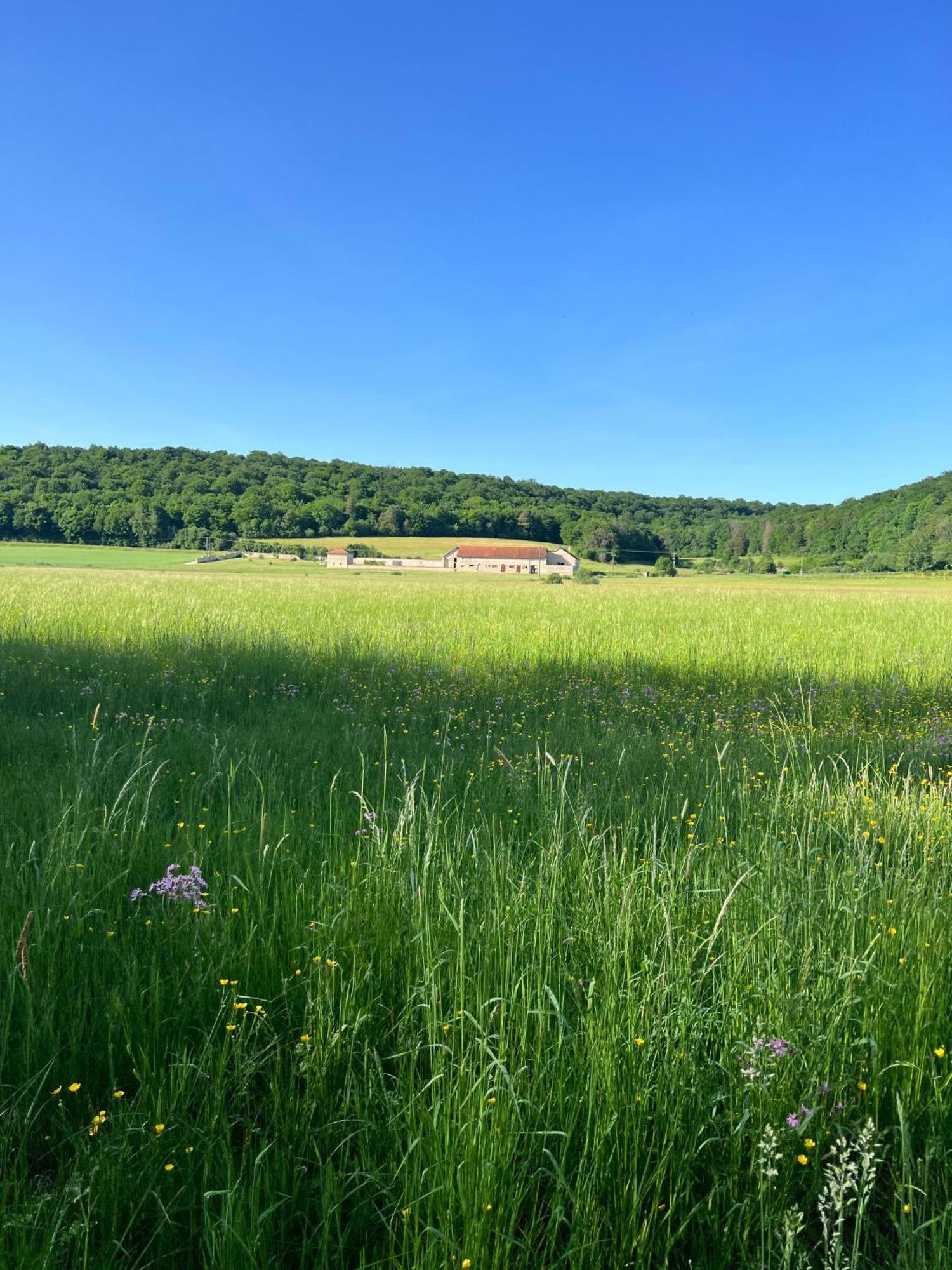 Gîte 6 pers de la Vallée de l'Aujon Arc-en-Barrois Extérieur photo